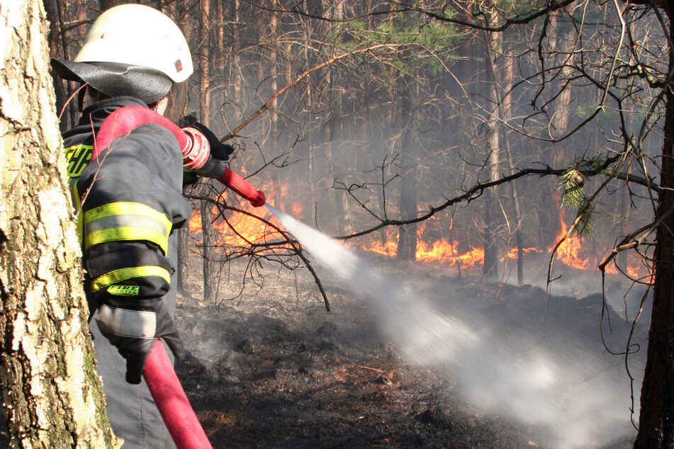 Die sächsischen Berufsfeuerwehren mit ihren rund 2220 aktiven Mitgliedern sollen noch besser auf Waldbrände vorbereitet werden.