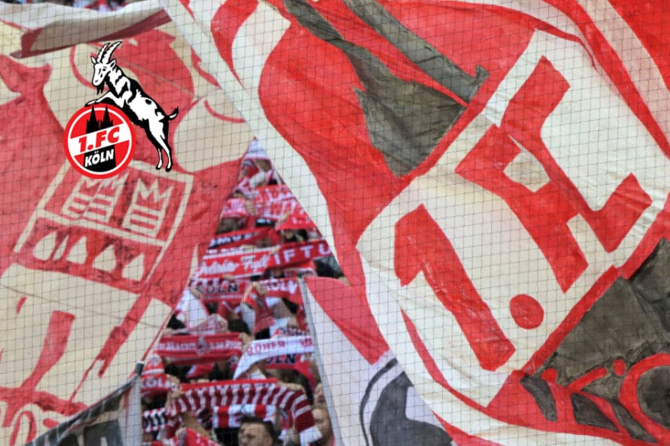 Kurz nach Bundesliga-Rückkehr: 1. FC Köln hat neuen Geschäftsführer