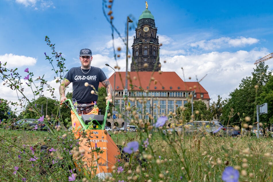 Aus Rücksicht vor den Insekten mäht Gärtner Christoph Winter (41) nur einen Teil der Blumenwelt vor dem Neuen Rathaus ab.