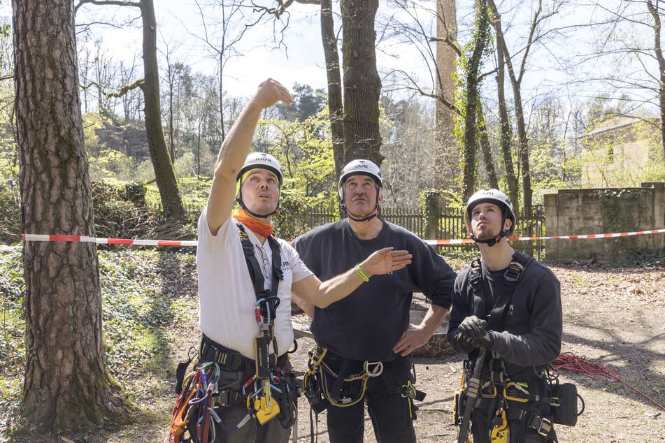 Löwinger (Mitte) und seine Mitarbeiter hatten jede Option durchgespielt.