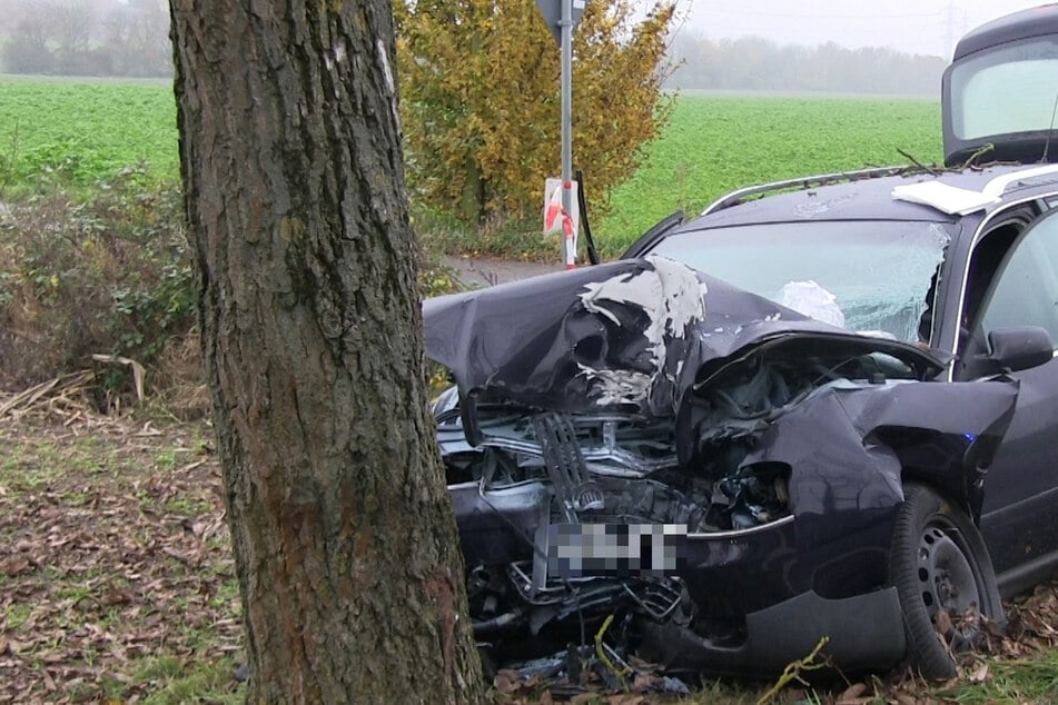 Heftiger Unfall: Autofahrer prallt frontal gegen Baum und stirbt