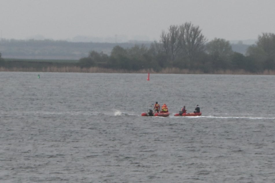 Das Rettungsteam ist immer wieder mit Schlauchbooten am Wal.