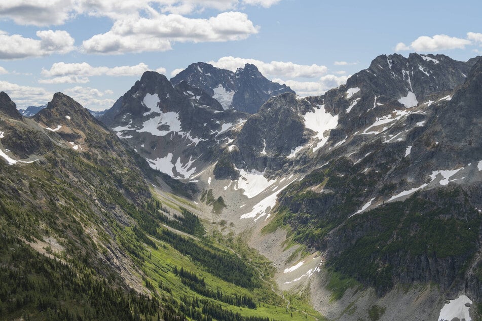 Man lost for a month in national park survives on mushrooms and berries