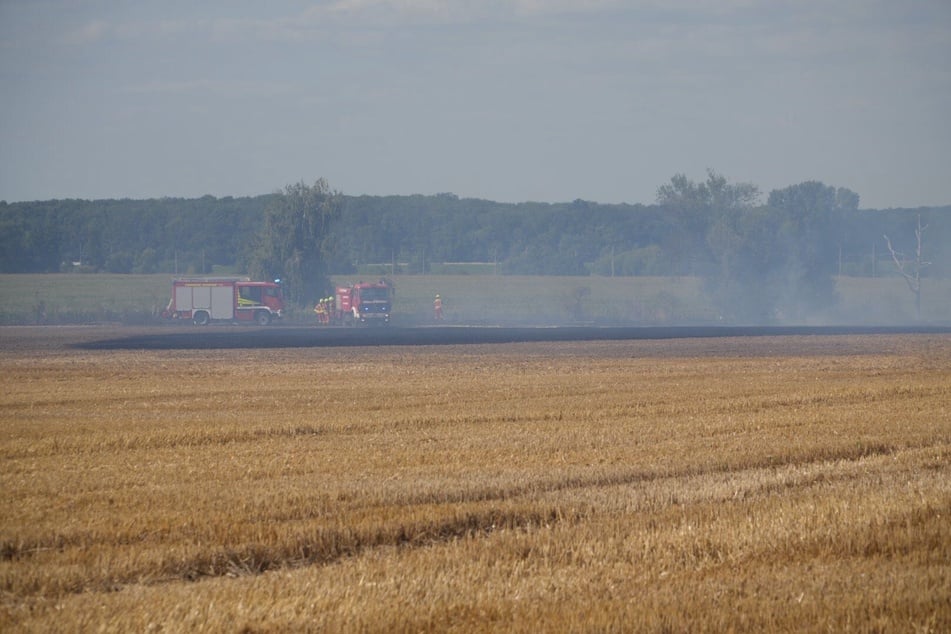 Die Feuerwehr war mit acht Fahrzeugen vor Ort.