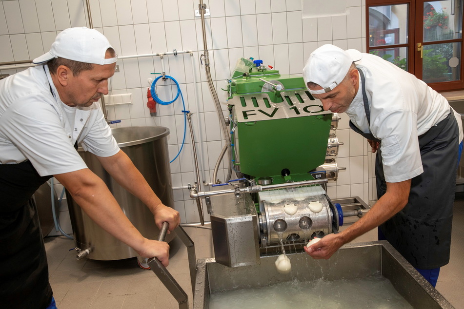 Assis Alghimi (left) and Giuseppe Cioffi can produce four different sizes of mozzarella, from 30 to 750 grams.