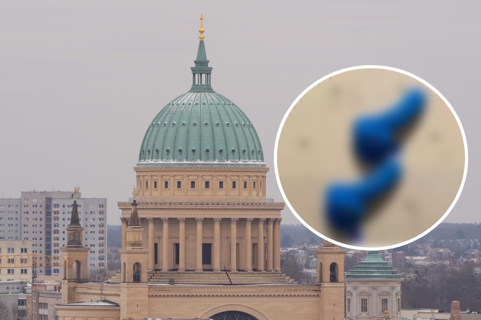 Hart am Alltag: Diese Instagram-Seite zeigt Potsdams frechste Bildersammlung