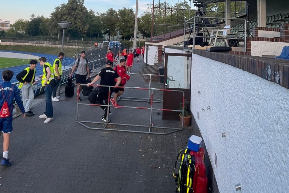 Geschafft! Die Schwäne sind in Berlin angekommen.