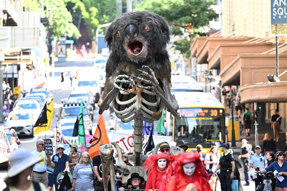 Extinction Rebellion marched through the streets of Brisbane on March 15 with a giant animatronic koala, but their focus was not on the NSW election campaign.