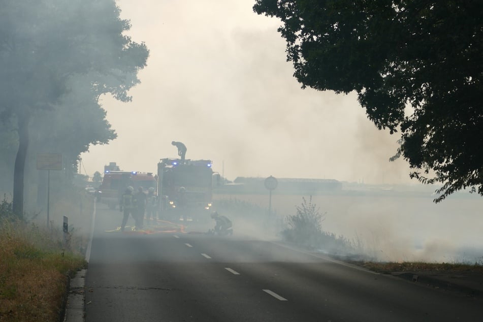Wegen des starken Winds breiteten sich die Flammen rasant aus. Die Feuerwehr war mit zahlreichen Kräften im Einsatz.
