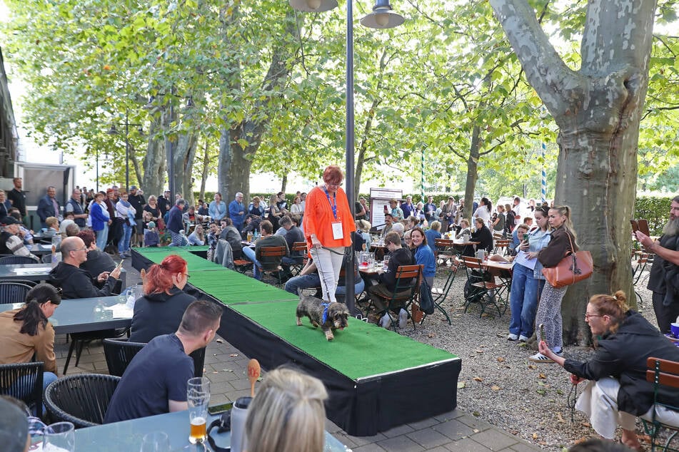 Der Biergarten des "Bayerischen Bahnhof" wurde am Samstag zur Kulisse für einige ganz besondere Vierbeiner.