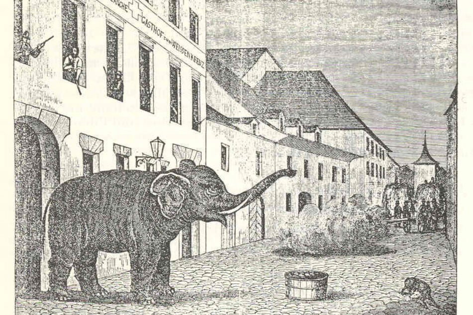 Zeichnung der Elefantenjagd in Murten im Juni 1866.