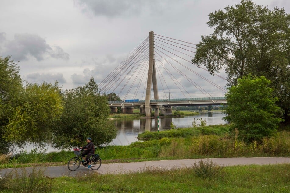 Vollsperrung am Elberadweg: Hier müssen Radler auf die Bremse treten