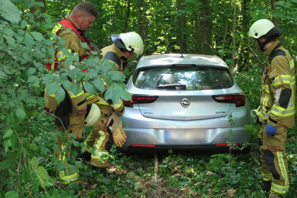 Von Bäumen eingesperrt: 70-Jähriger landet mitten im Wald und kommt nicht mehr raus