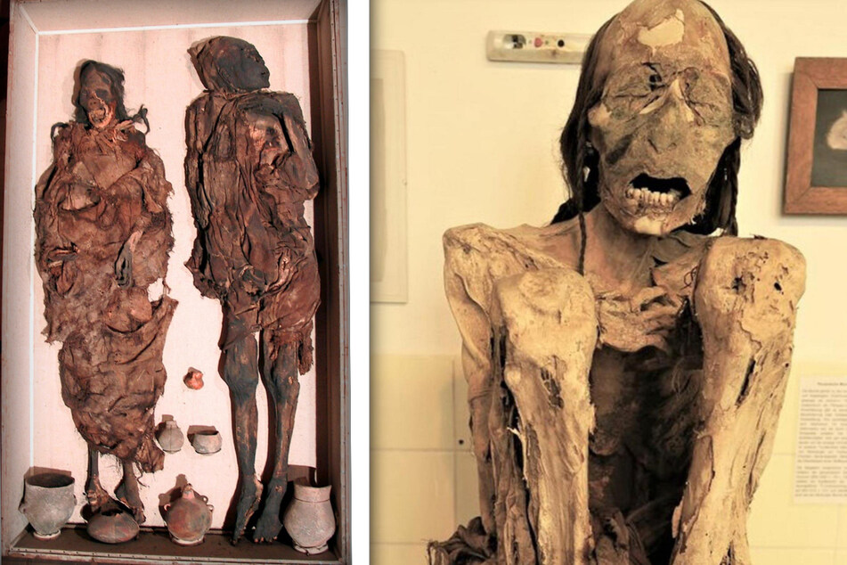 Brutal ermordet: Forscher untersuchen jahrhundertealte Mumien