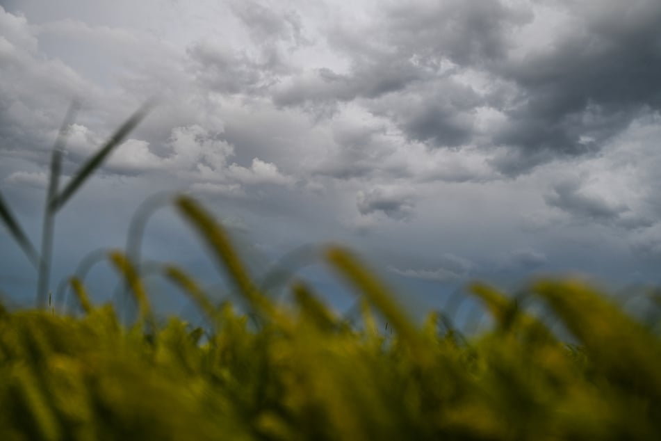 Trotz vieler Gewitter: Juli im Ländle deutlich zu warm