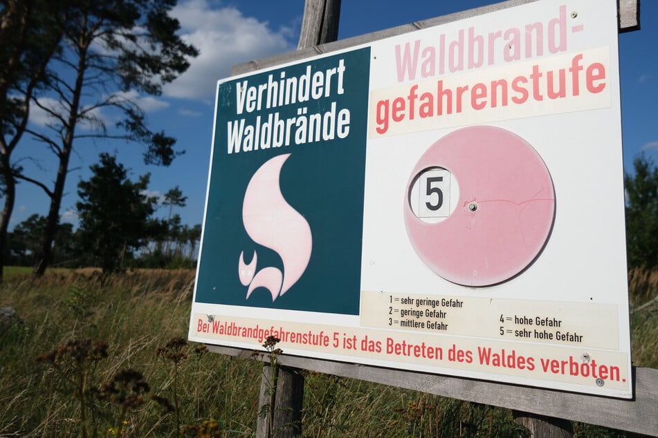 Waldbrandgefahr! Hier wird in Sachsen die höchste Stufe erwartet