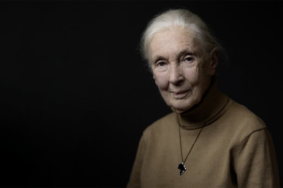 Jane Goodall warns of "false promises" ahead of UN biodiversity summit