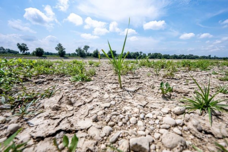 Felder können aufgrund der langen Trockenphasen kaum Wasser aufnehmen.