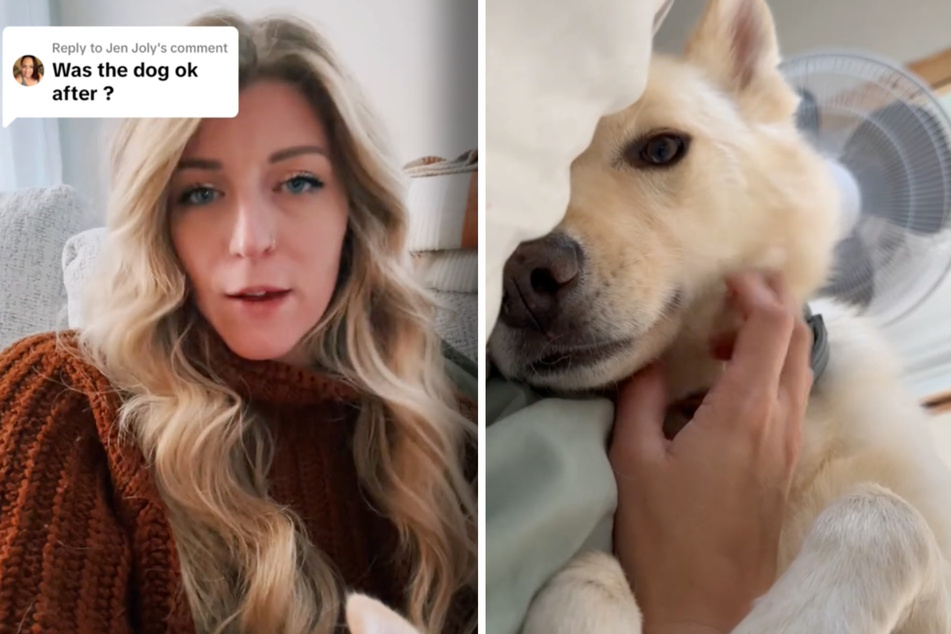 Jack is doing just fine after the incident, as his owner Mary told viewers on TikTok.