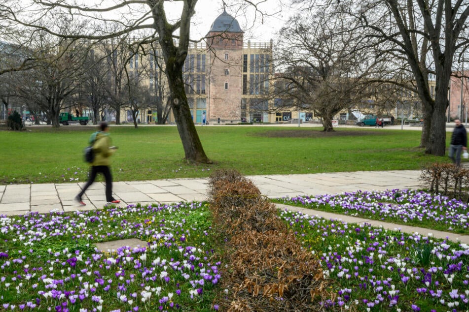 Die drei Frauen wurden im Stadthallenpark von dem Mann belästigt.