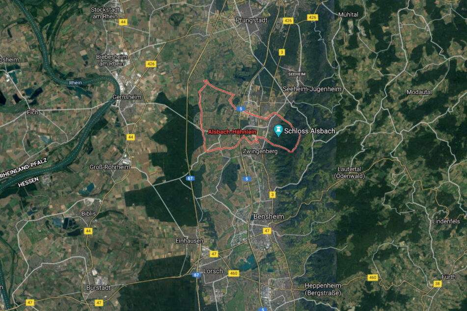 Die Weinblätter wurden in den Weinlagen um Alsbach-Hähnlein geklaut.