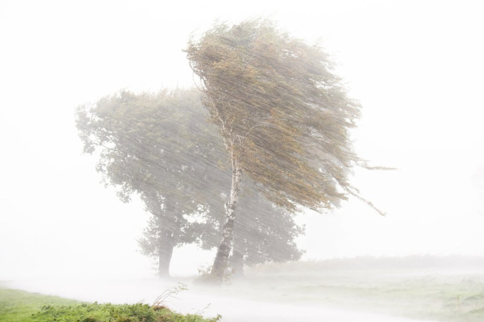 Der Deutsche Wetterdienst (DWD) sagte auch für einige Regionen in Thüringen Sturmböen voraus. (Symbolfoto)