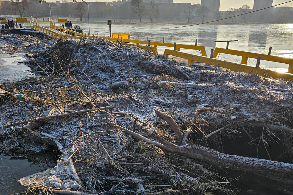 Hier muss ein Bagger ran: An der Fährstelle in der Neustadt (gegenüber der Johannstadt) hat sich ein Mix aus gefrorenem Wasser, Schlamm und Treibgut angesammelt.