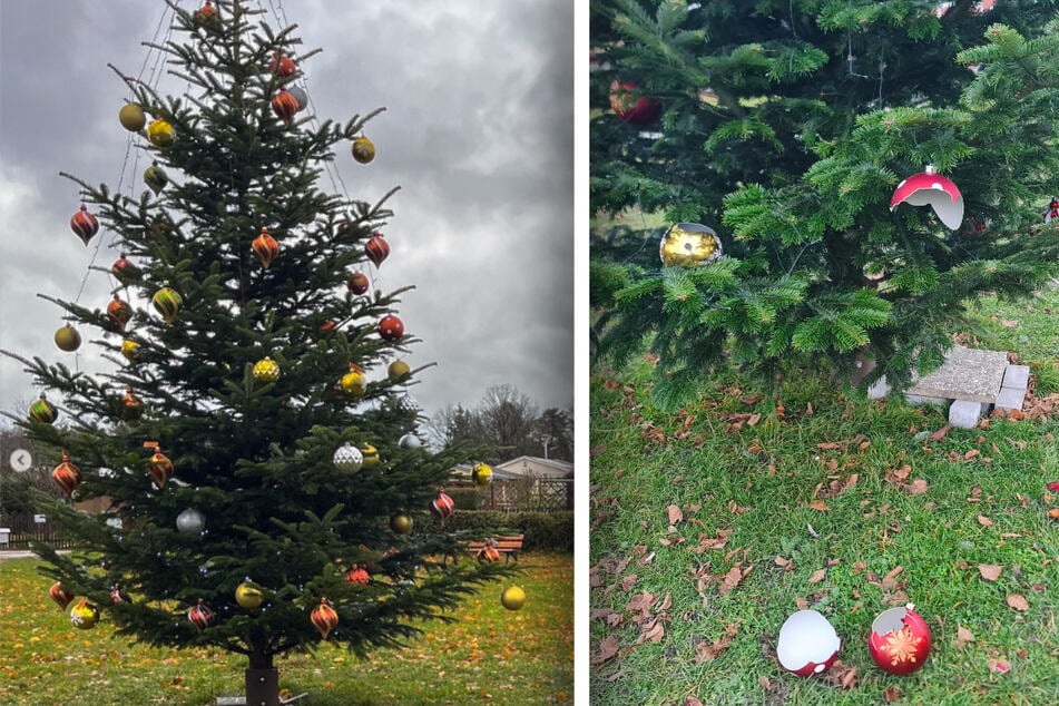 Michael Baumanns (61) geliebter Christbaum musste auch dran glauben.