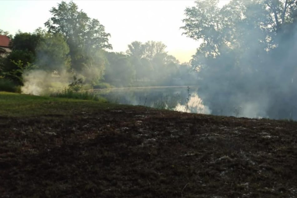 Grasfläche steht in Flammen! Polizei ermittelt gegen 15-Jährigen