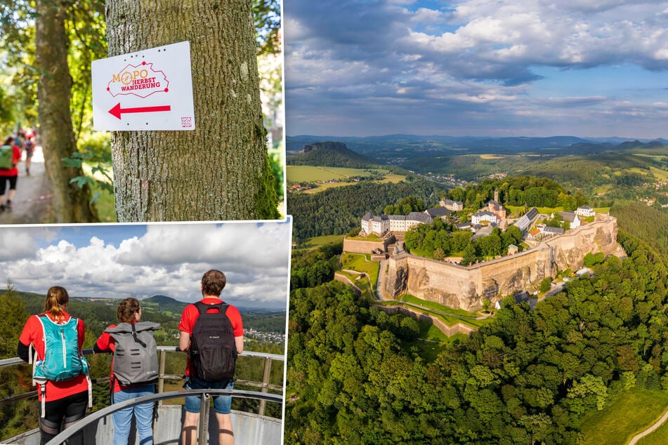 Dresden: MOPO-Wandertag auf den schönsten Routen: Besser könnt Ihr nicht in den Herbst starten