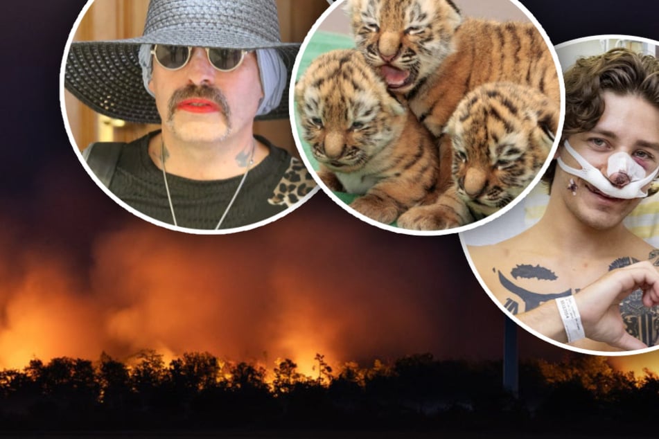 Rückblick auf Mai bis August: Das waren die Schlagzeilen des Jahres in Sachsen