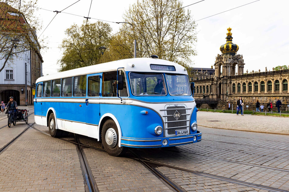 Der blau-weiße Omnibus "IFA H6" (1959 gebaut) fährt auch durch Dresdens Altstadt.