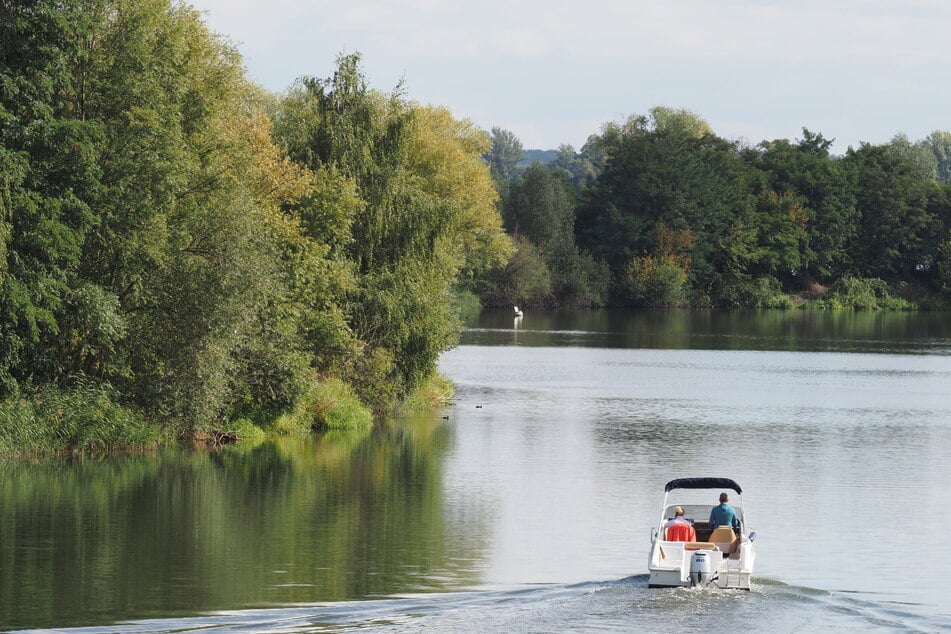 Im Großen Zernsee in der Nähe von Werder an der Havel ist eine Schwimmerin gestorben. (Symbolbild)