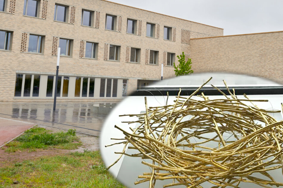 "Goldnest" aus Berliner Grundschule gestohlen: Jetzt beginnt der Prozess!