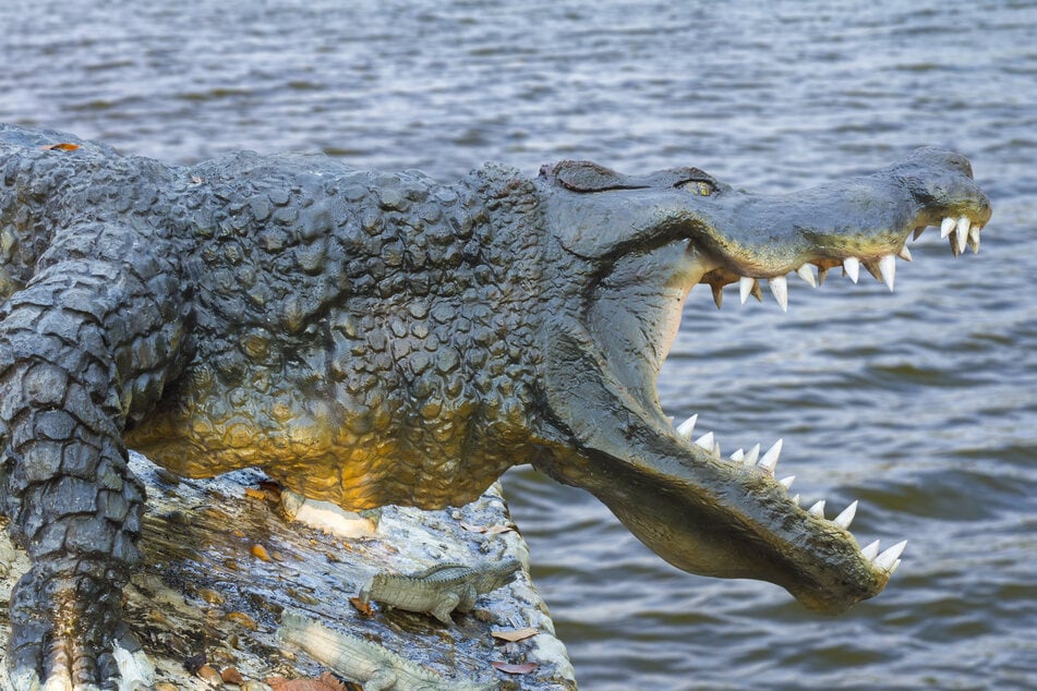 Vier-Meter-Krokodil greift Taucher aus dem Nichts an, tötet ihn grausam