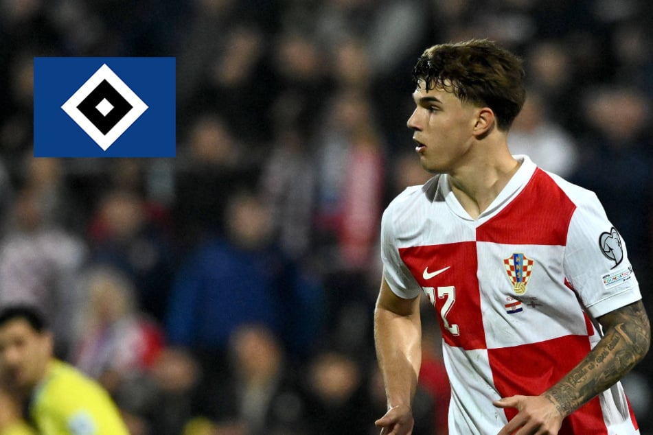 HSV-Blog: Neun Rothosen-Profis auf Länderspielreise