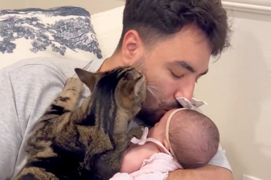 Kater Chase lässt sich nicht abwimmeln. Als Kareem seine Tochter küsst, "küsst" er einfach ihn.