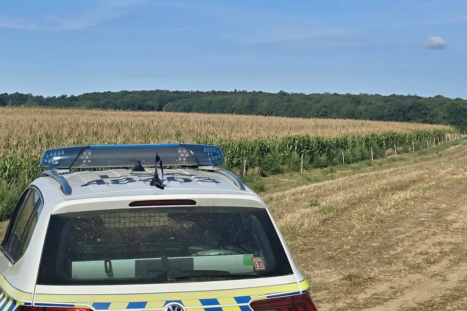 Während der Suche nach dem 60-Jährigen wurde auch ein Maisfeld durchkämmt.
