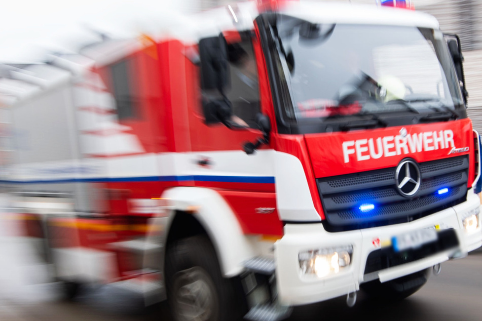 In Düsseldorf ist ein Hund in Not geraten, doch die Feuerwehr war zum Glück zur Stelle. (Symbolbild)