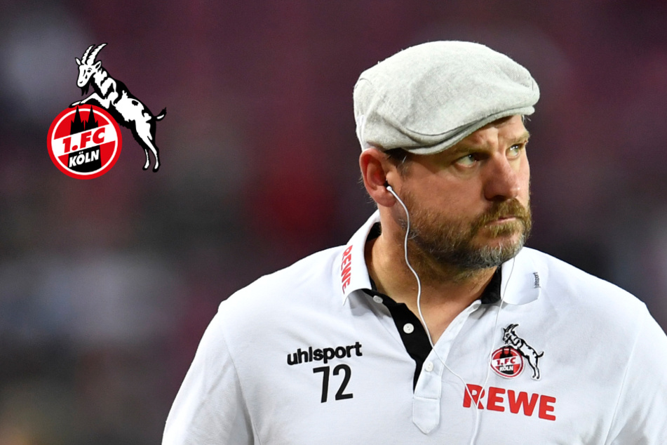 Steffen Baumgart macht 1.FC Köln-Fans Hoffnung: "Dieser Verein kann mehr"