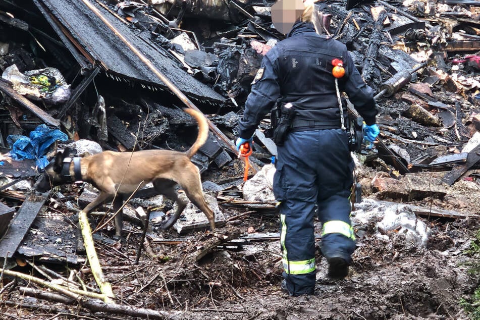 Leichenspürhunde kamen am Mittwoch an der Brandstelle zum Einsatz.