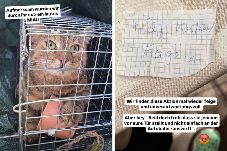 Die Katze wurde in einer Falle und mit einem kleinen Zettel abgestellt.