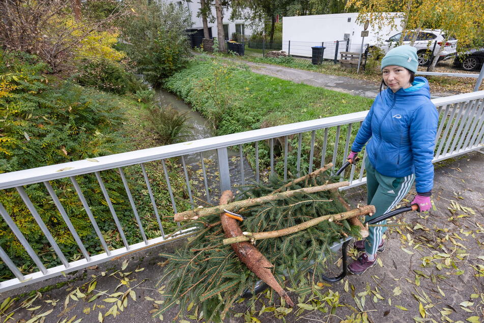 Felicia Kollinger-Walter (56) holt Grünschnitt für den Garten. Auf die Idee, den Unritzbach für Abfälle zu nutzen, käme sie nie.
