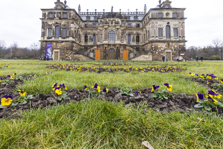 "Wie gemalt - Blütenpracht mit Künstlerhand" lautet das Motto der diesjährigen Frühblüherschau. Vor dem Palais sind die Beete bereits bepflanzt.