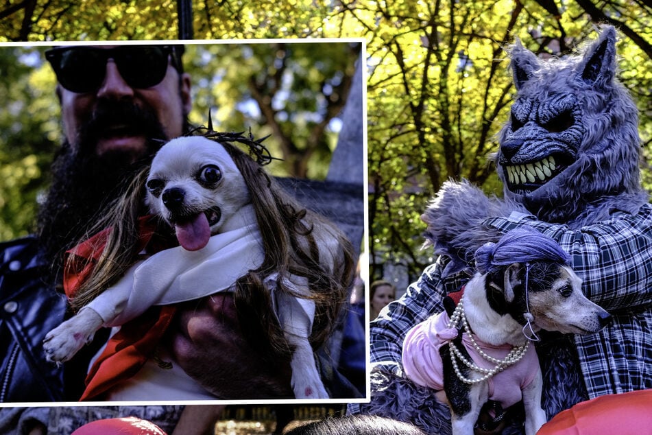 Diese Stadt feiert Halloween für Hunde: Ist das gruselig?!