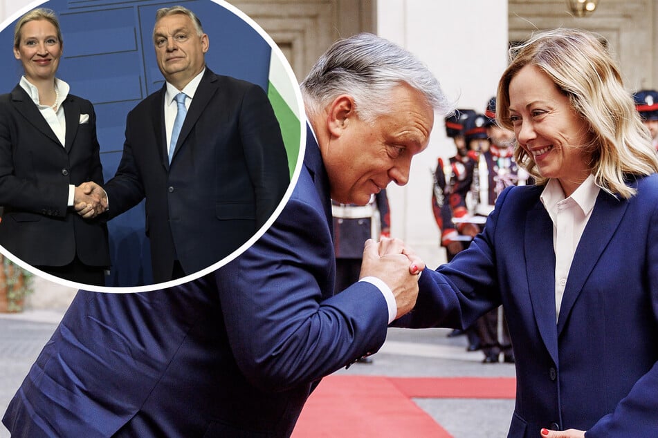 Nach Wahlklatsche für Orban: Europas Rechte suchen neuen Kurs