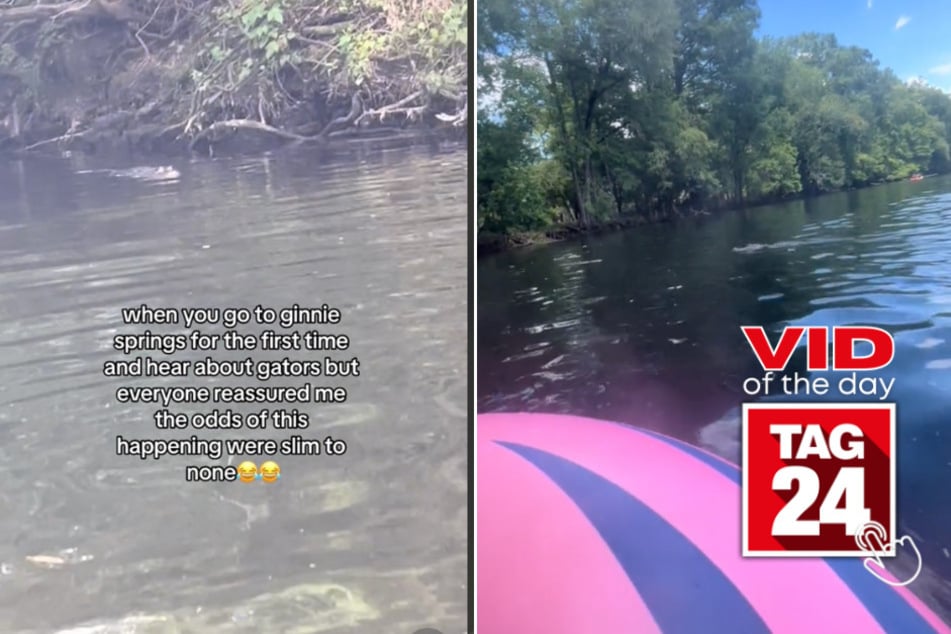 viral videos: Viral Video of the Day for June 28, 2024: Alligator swims toward Florida woman in springs: "Get me out!"
