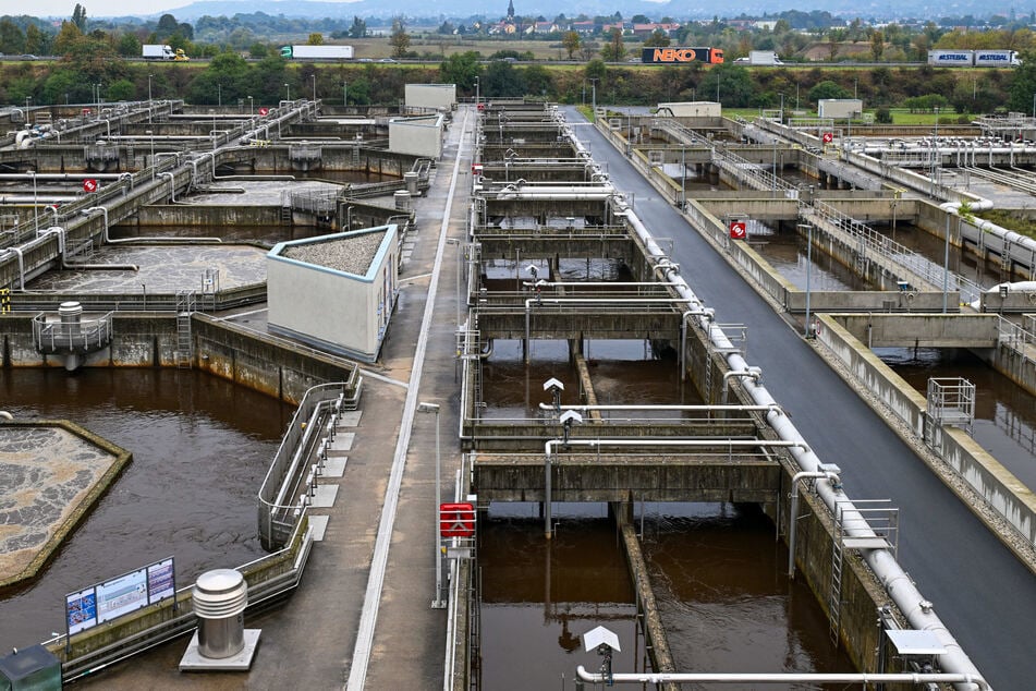 Die Kläranlage in Kaditz: Forscher stellten auch im Dresdner Abwasser die Viren fest.