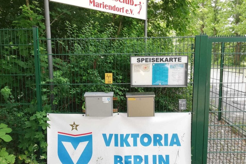 Hereinspaziert! Noch prangt am Eingangstor groß das Wappen von Viktoria Berlin. Künftig wird hier auch das Logo von Delay Sports zu sehen sein.