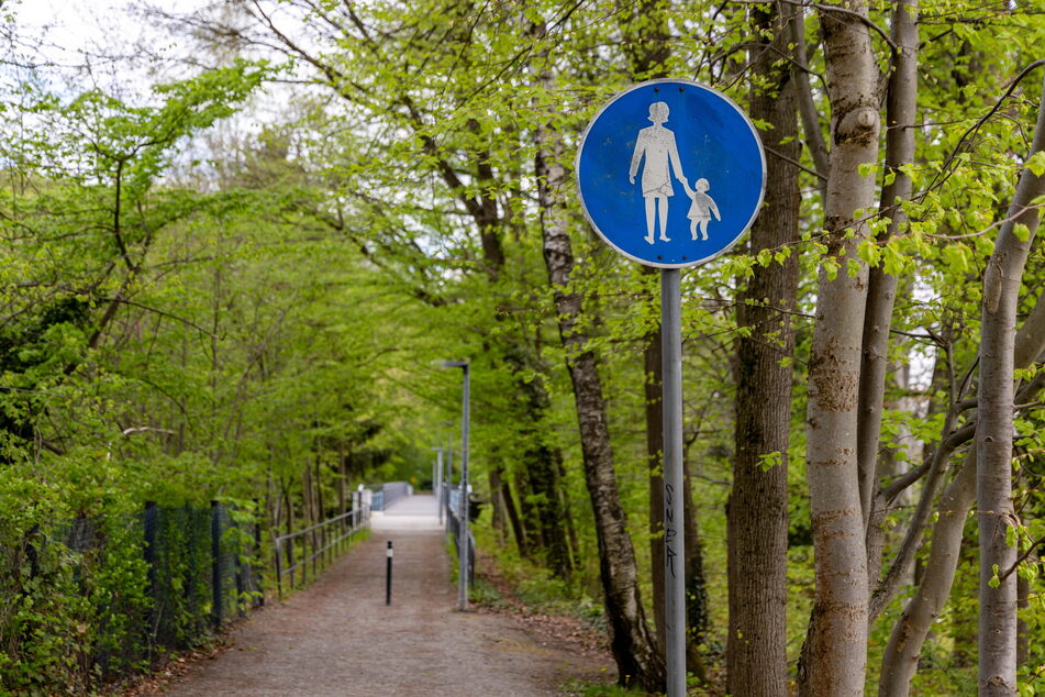 Der Radweg durch den Rabensteiner Wald geht am Viadukt bislang nicht weiter.